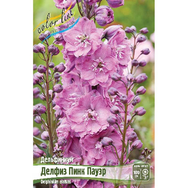 8392 Биг-Пак Дельфиниум Делфиз Пинк Пауэр 3/5 n 25 шт 