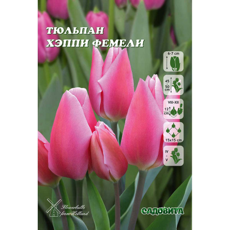 Тюльпан Хэппи Фемели 11/12 8 шт Садовита