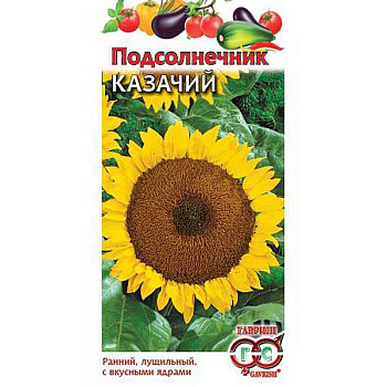 Подсолнечник Казачий Гавриш Ц 