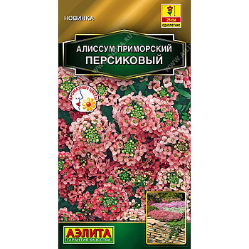 Алиссум приморский Персиковый Аэлита Цх10 