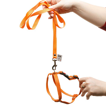 Шлейка+поводок капрон декоративная лента ширина 15 мм