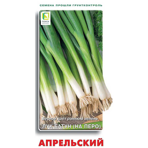 Лук батун Апрельский Поиск Ц