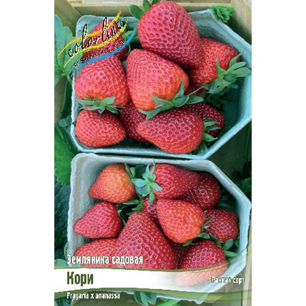 4618 Биг-Пак Земляника Садовая Кори A 100 шт 