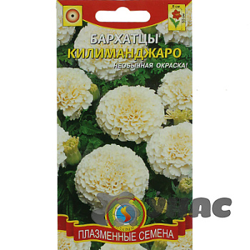 Бархатцы Килиманджаро Плазма Ц 