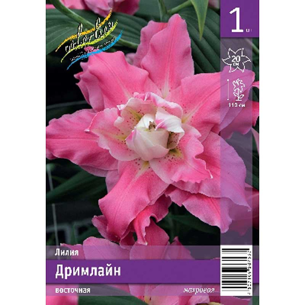 Лилия Дримлайн 12/14 1 Эконом шт 