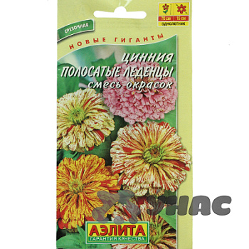 Циния Полосатые леденцы Аэлита Цх10 