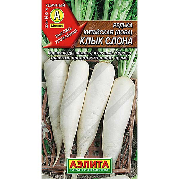Дайкон Клык Слона (редька) Аэлита Ц