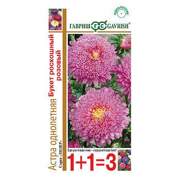 Астра Букет Роскошный розовый 1+1 Гавриш Ц 