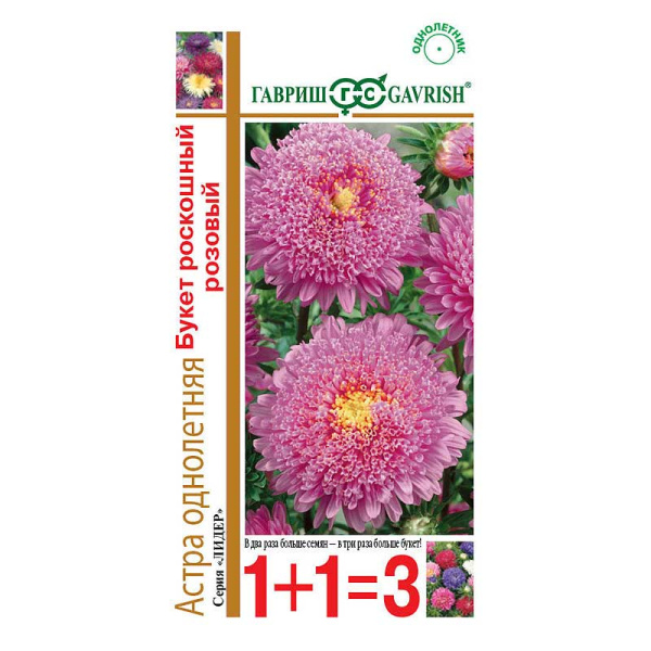 Астра Букет Роскошный розовый 1+1 Гавриш Ц 