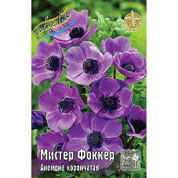 9183 Шоу-Бокс Анемона Мистер Фоккер 5/6 200 шт