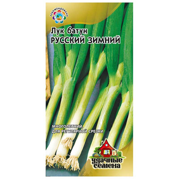 Лук батун Русский зимний Удачные семена Гавриш Ц