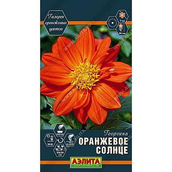 Георгин Оранжевое Солнце Аэлита Ц 