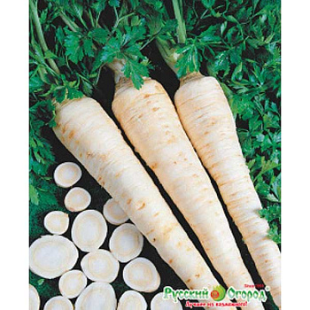 Петрушка корневая Сахарная "Первая цена" НК