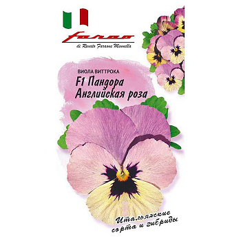 Виола Пандора Английская Роза Гавриш Ц 