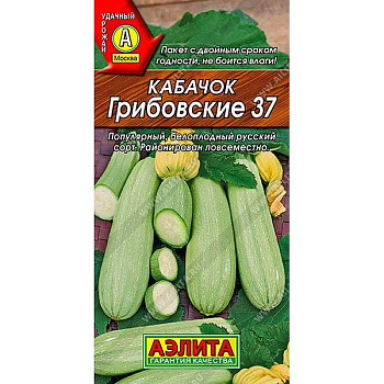 Кабачок Грибовский белопл. Аэлита Ц