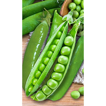 Горох Адагумский 10гр Садовита Ц