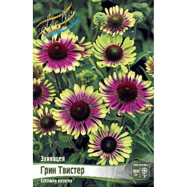 Эхинацея Грин Твистер I 1 шт 