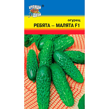 Огурец Ребята-малята Урожай у дачи Ц