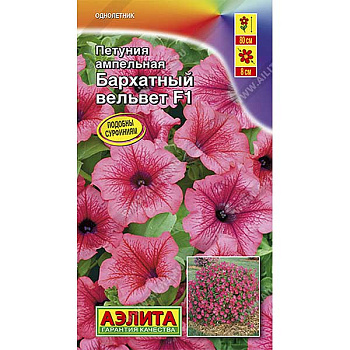 Петуния Бархатный вельвет  Аэлита Ц 