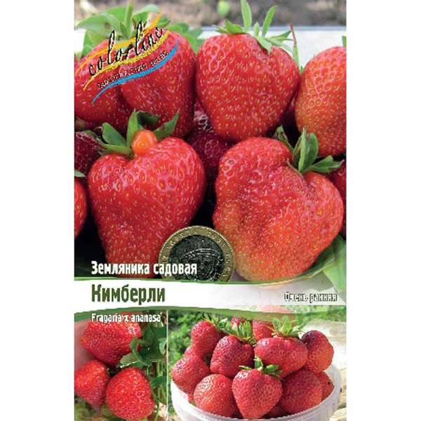 Земляника Садовая Кимберли A 5 шт 