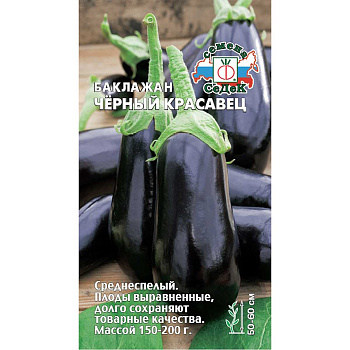 Баклажан Черный красавец Седек Ц