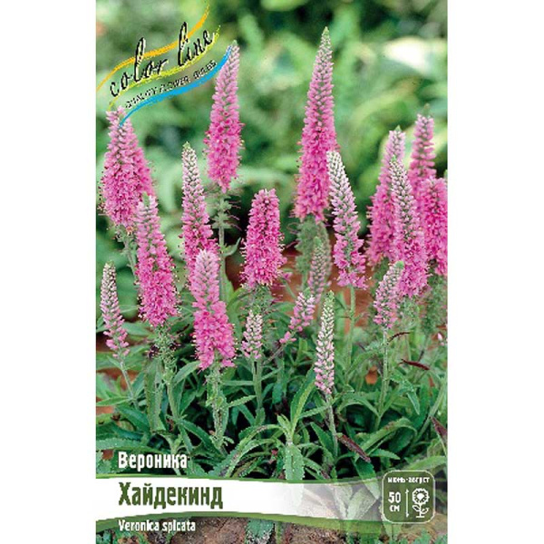 Вероника Хайдекинд I 25 шт Биг-Пак 8353