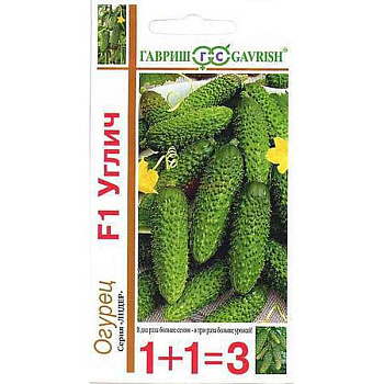 Огурец Углич 1+1 Гавриш Ц