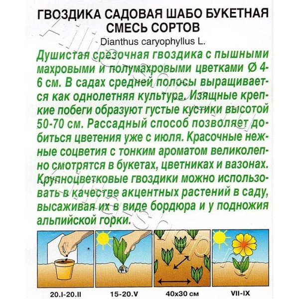 Семена Гвоздика Шабо Букетная смеь Аэлита Ц х10 