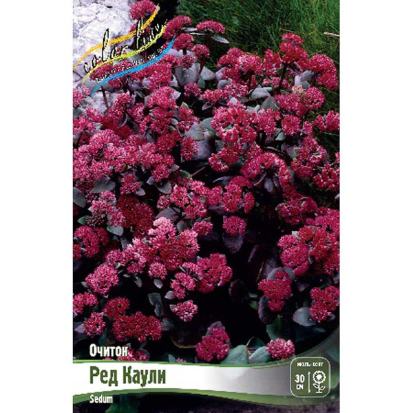 9996 Биг-Пак Очиток Ред Каули I 25 шт