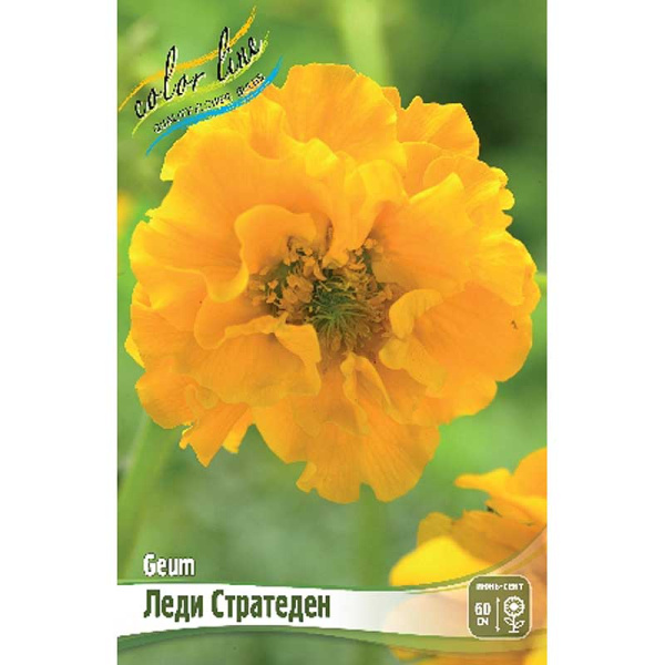 8386 Биг-Пак Гравилат Леди Стратеден I 25 шт