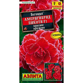 Ком Бегония Америгибрид Пикоти Красное кружево Аэлита Ц 