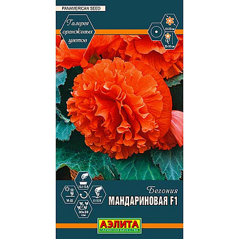 КОМ Бегония Мандариновая Аэлита Ц 