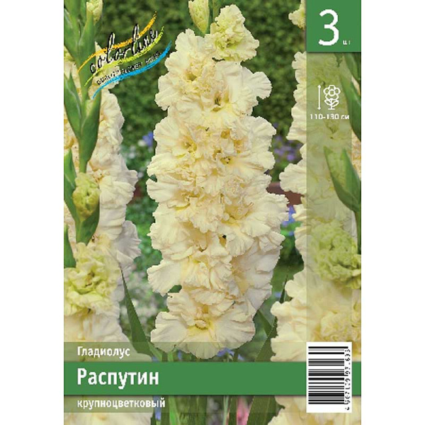 Гладиолус Распутин 10/12 3 Эконом шт