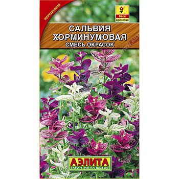 Сальвия Хорминумовая Аэлита Ц 
