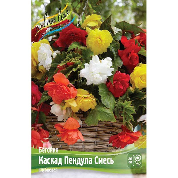 Бегония Каскад Пендула Смесь 5/6 50 шт Шоу-бокс 10966