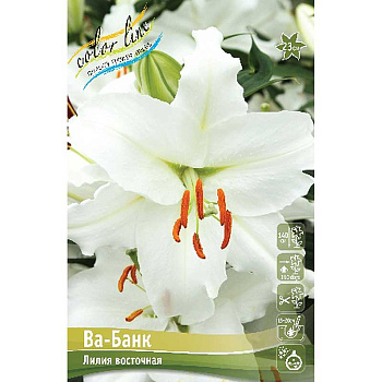 Лилия Ва-Банк 14/16 5 шт