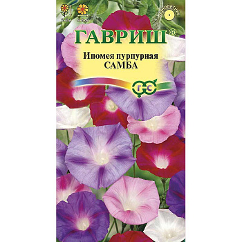 Ипомея Самба Гавриш Ц 