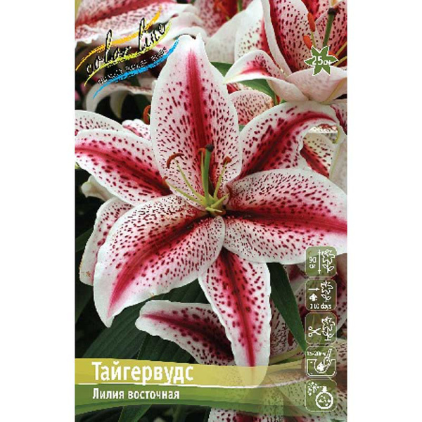 Лилия Тайгервудс 16/18 3 шт