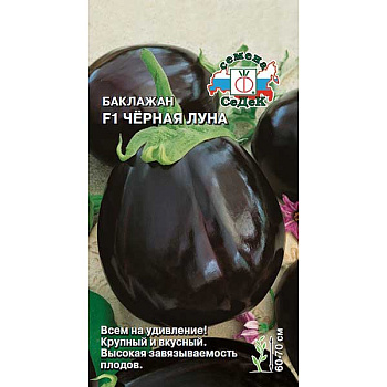 Баклажан Черная Луна Седек Ц
