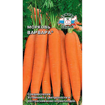 Морковь Варвара Седек Ц