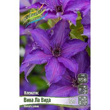 Клематис Вива Ла Вида I 1 шт