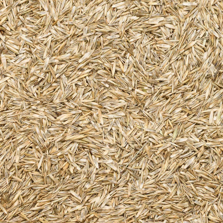 Травосмесь "Газон Канада Супер Грин" 0,5кг САДОВИТА