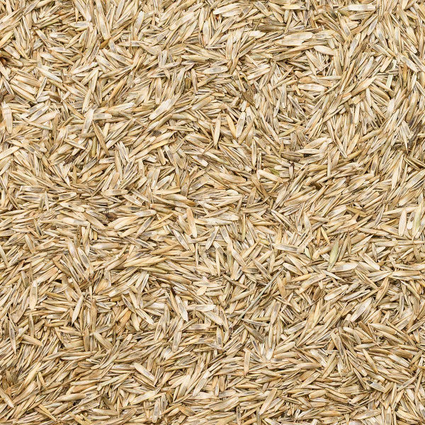 Травосмесь "Газон Канада Супер Грин" 0,5кг САДОВИТА