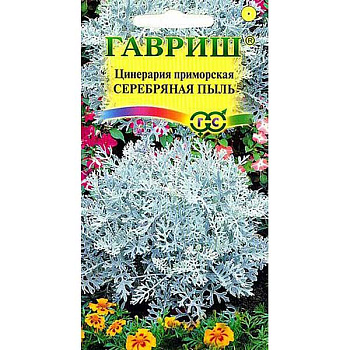 Цинерария Серебряная пыль приморская Гавриш Ц 