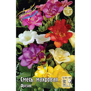 9228 Шоу-Бокс Фрезия Смесь, Махровая 5/6 200 шт