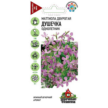 Маттиола двурогая Душечка Удач сем Гавриш Ц 