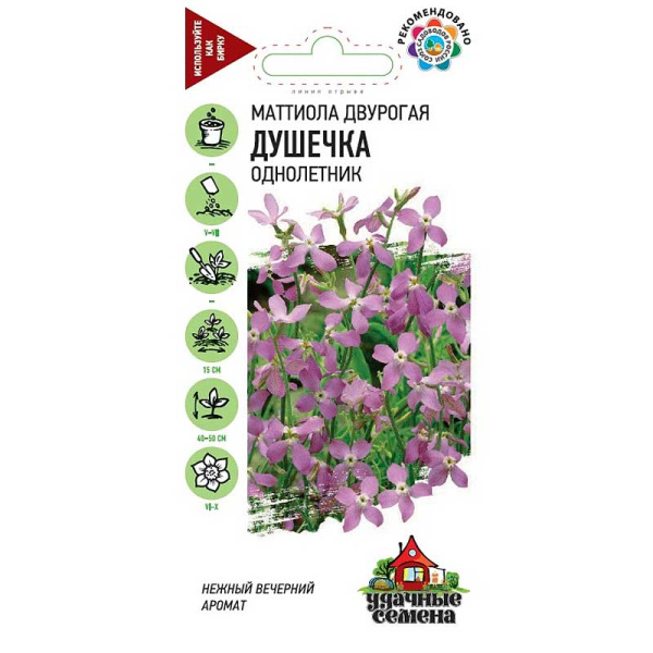 Маттиола двурогая Душечка Удач сем Гавриш Ц 