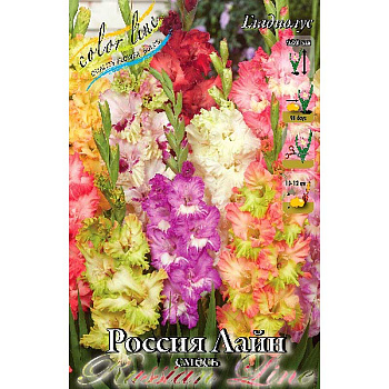 Гладиолус Россия Лайн Смесь 10/12 100 шт Шоу-бокс 8765