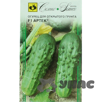 Огурец  Артек Семко Ц