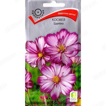 Космея Царевна Поиск Ц 